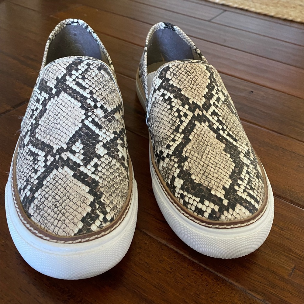 Snakeskin sneakers by Steve Madden